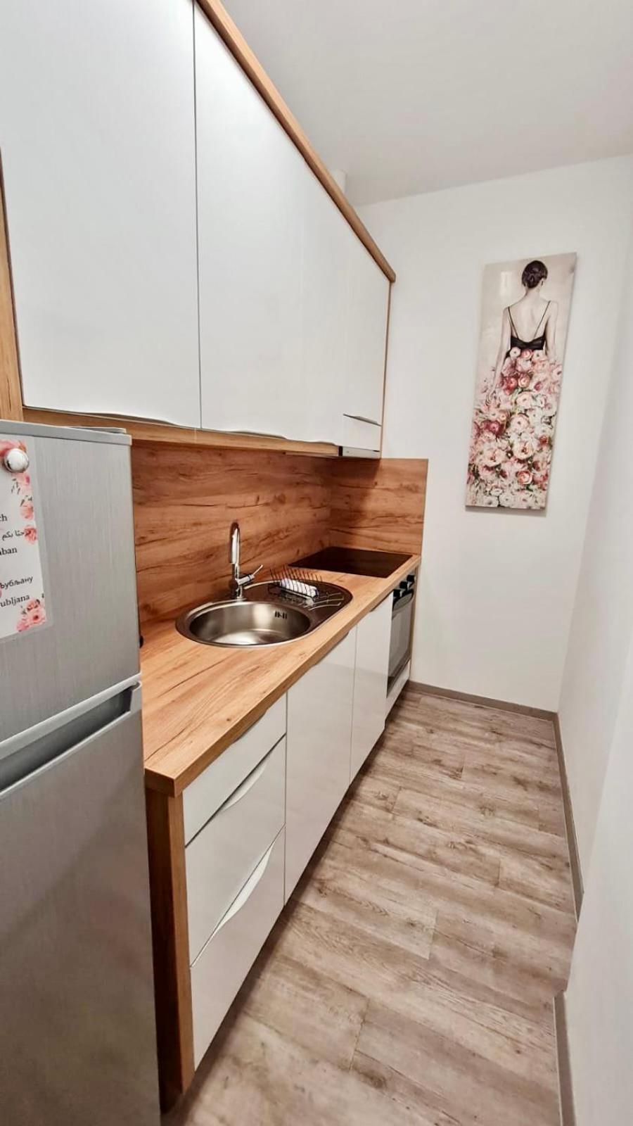 Ljubljana Central Lux Apartment With Free Parking Экстерьер фото